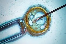子宫内膜1.2cm符合试管婴儿移植标准吗？附夜针当天内膜正常厚度