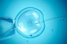 疤痕子宫试管能移植2个胚胎而不出现危险?