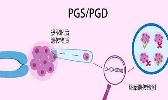 广州和深圳医院的三代试管包生男孩的价格清单