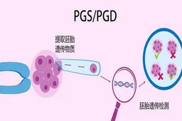 广州和深圳医院的三代试管包生男孩的价格清单