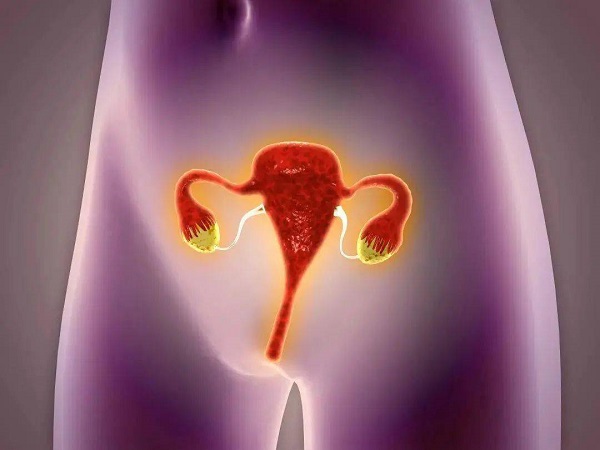 卵巢问题会影响月经吗？卵巢问题能做试管婴儿吗？
