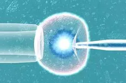 空卵泡有可能是降调过度造成,都和卵巢功能有关?