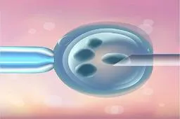 优势胚胎为什么屡次养囊失败?
