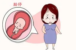 做试管婴儿啥情况会导致胎停？附预防措施