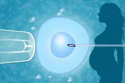 试管囊胚5天可以测出来了吗？胚胎评分如何进行？