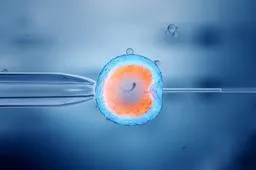 为什么移植冻胚男方要做血检四项？试管男性血检的意义