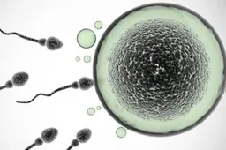 输卵管造影检查需具备什么样的条件？这是为什么？