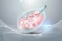 试管婴儿胚胎移植后可以吃燕麦片吗？饮食均衡是关键