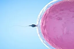 试管胚胎移植第三天有什么感觉吗？
