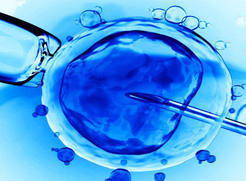 鲜胚移植第6天着床并发育，是否成功得查hcg