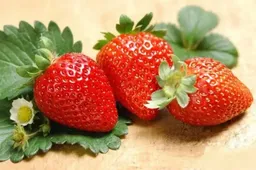 女性在月经期间吃草莓好处多！改善血管收缩只是好处之一