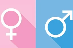 洛阳三代试管技术支持选性别，但需要支付额外的费用！