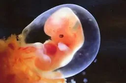 在合肥做三代试管放置胚胎数不定，主要根据女性身体情况决定