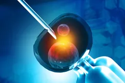 第三代试管婴儿如何进行胚胎筛选？了解过程中存在的问题