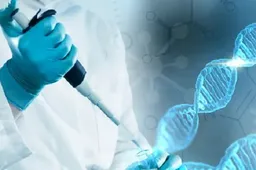 三代试管基因筛查需要多久？基因筛查具体流程一览