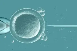 泰国三代试管能移植两个胚胎，具体移植数量视实际情况而定