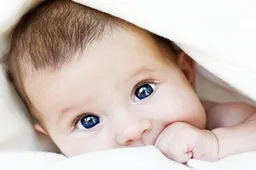 怎么调节卵巢功能 三代试管生孩子卵巢功能差怎么办