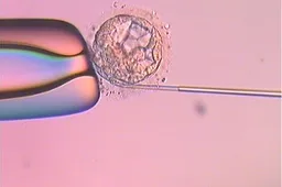 促排卵是三代试管中重要的步骤，在宜昌做试管促排要经历这些流程