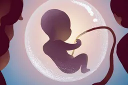 三代试管一次放几个胚胎最合适？取决于患者年龄和身体状况