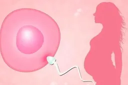 为什么三代试管筛查的胚胎还会不着床？原来是在这些原因导致