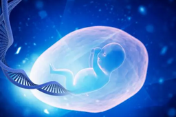 泰安三代试管可以移植2个胚胎吗？附移植两个胚胎的好处