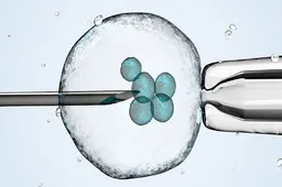徐州三代试管为什么只放一个胚胎？减少多胎妊娠率是主要原因
