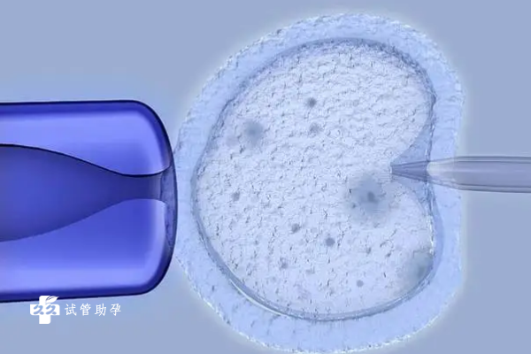 宿州试管婴儿医院大全，附2023年试管成功率详情