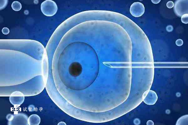 在许昌做三代试管为什么只能移植一个胚胎？成功率高是主要的原因