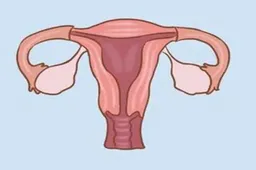 促排雌激素要维持到什么水平 三代试管生子啥时检测雌激素