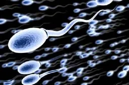 试管婴儿精子也有要求，不满足这些条件也不适合助孕