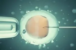 试管婴儿腹水的原因分析，卵巢刺激成关键