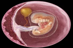 如何判断生化妊娠  三代试管生化妊娠容易产生哪些不适