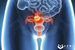揭秘输卵管堵塞为女性健康带来的危害，建议提前做好预防