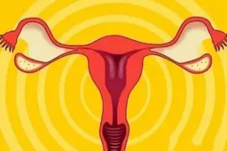 雌二醇低怀孕有难度吗 做三代试管如何控制雌二醇值