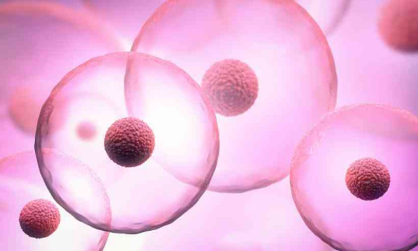 促排期卵泡成熟的判断方法