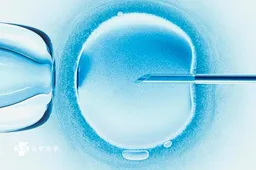 影响三代试管成功率的因素有很多，胚胎质量只是其中之一