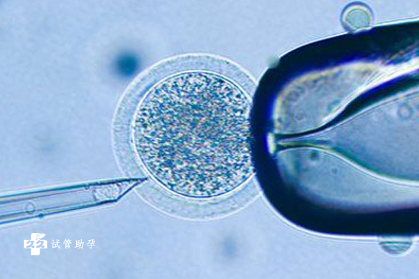 美国试管婴儿技术应用广泛，附美国试管政策及详细流程