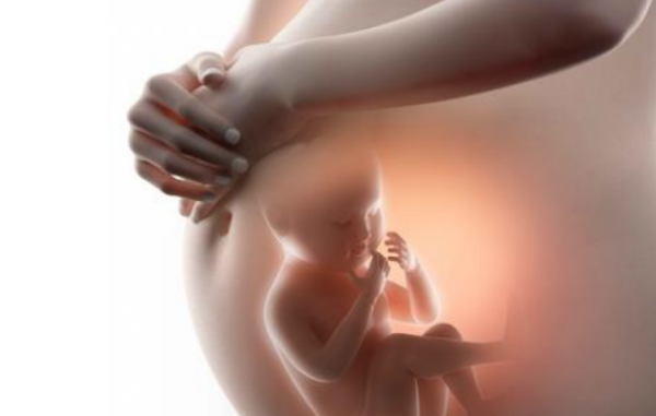 试管婴儿出现早产的影响