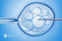 泰国供卵试管一次成功率已公布，附影响供卵试管成功率的因素
