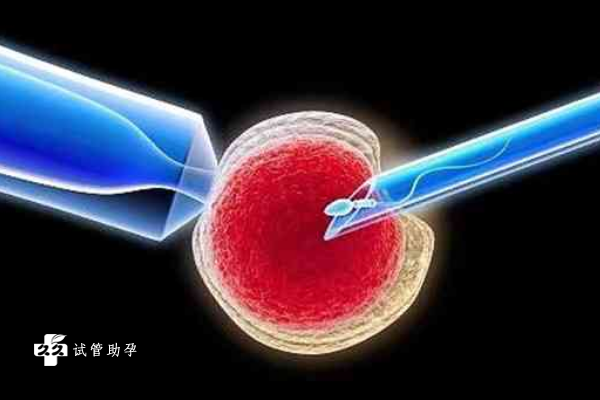驻马店三代试管双胎成功率已公布，附三代试管技术的优势