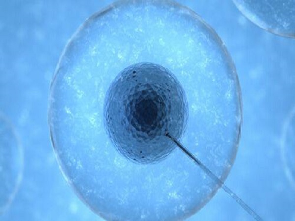 冷冻四年的胚胎一般是可以移植的