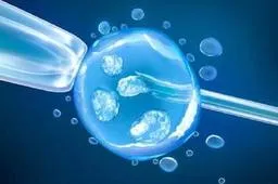 2023武汉做试管婴儿必备条件须知，附助孕用时详解