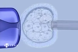 宿迁三代试管囊胚着床率是多少，这些提高着床率的方法速看
