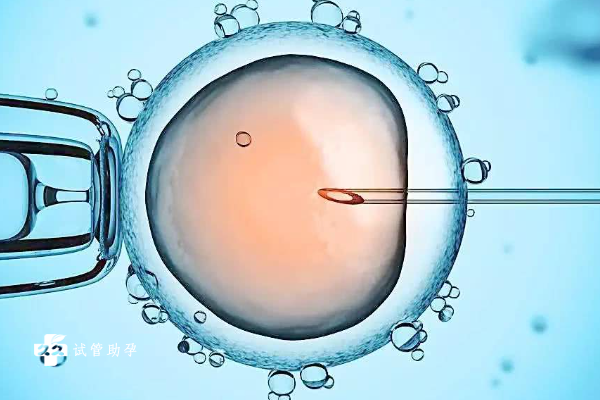 宜春三代试管成功率解析，35岁以下成功率较高