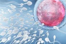 卵巢早衰选试管婴儿超长方案要多少时间 需要几天