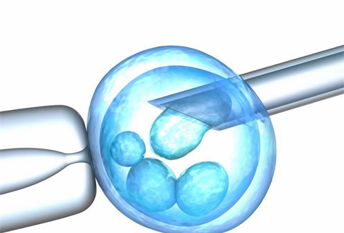 试管微刺激方案成功率有多高？分享微刺激方案成功率经验