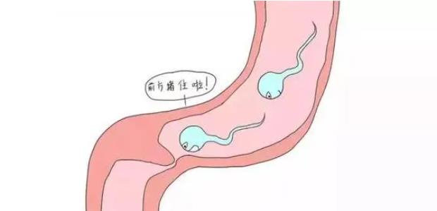 输卵管粘连了如何才能怀孕