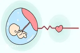 上海第三代试管婴儿有哪些优势，最新助孕费用给您参考