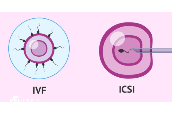 国内三代试管成功率数据解析，做三代试管要注意这些事项