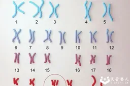 做试管婴儿必须要查染色体吗？医生：染色体检查有这些好处